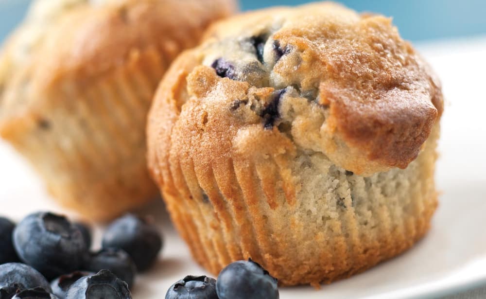 Two blueberry muffins on a white plate, with several fresh blueberries in the foreground.