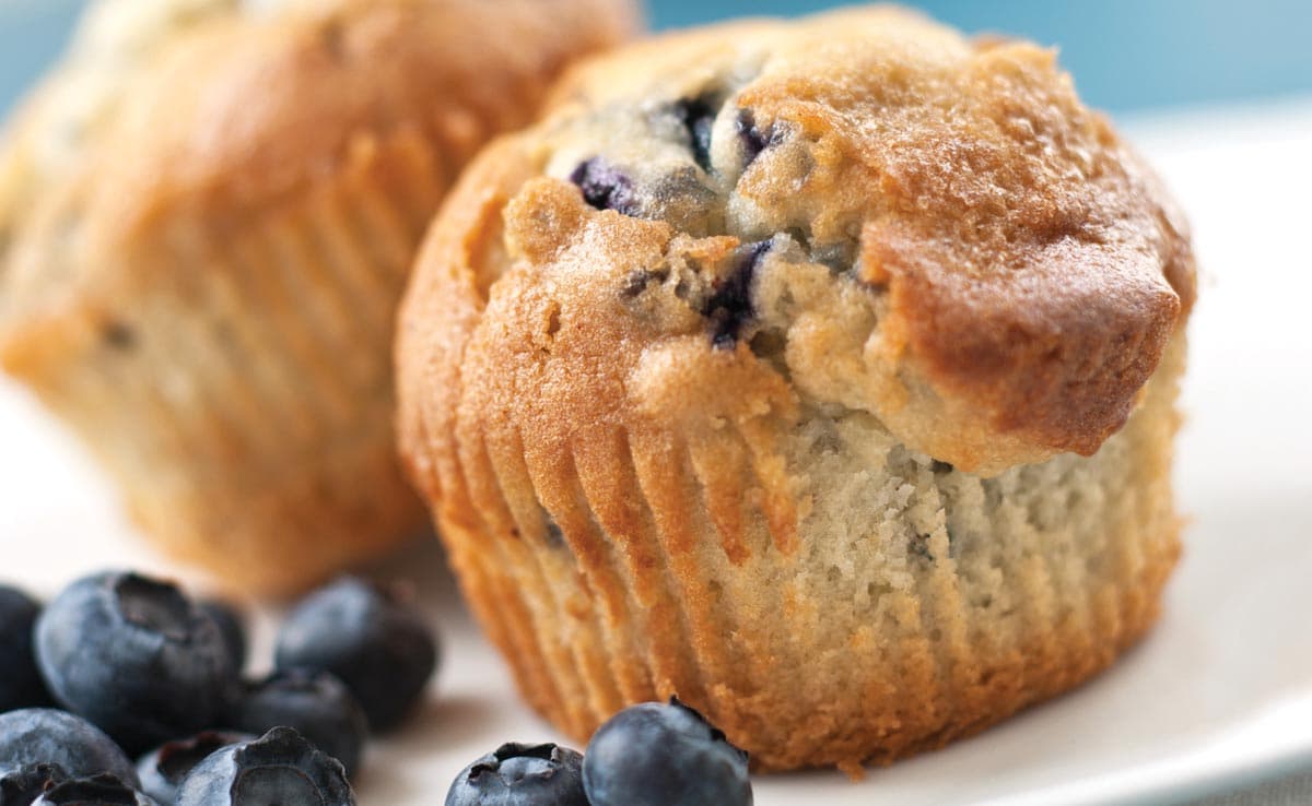 Two blueberry muffins on a white plate, with several fresh blueberries in the foreground.