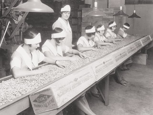 Six women wearing blindfolds sort nuts on a conveyor belt while a supervisor observes in a factory setting.