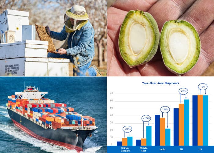 2x2 collage of a beekeeper, raw almond in shell, cargo ship, and upward-trending bar chart