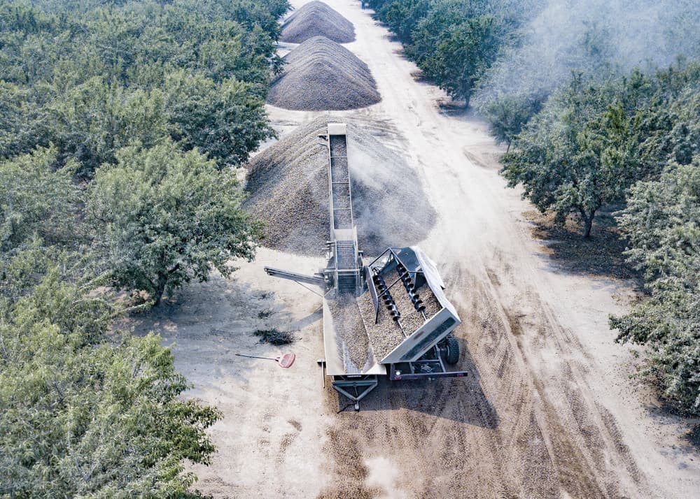 A machine processes and creates piles of harvested almonds between rows of trees on a dirt path in an orchard.