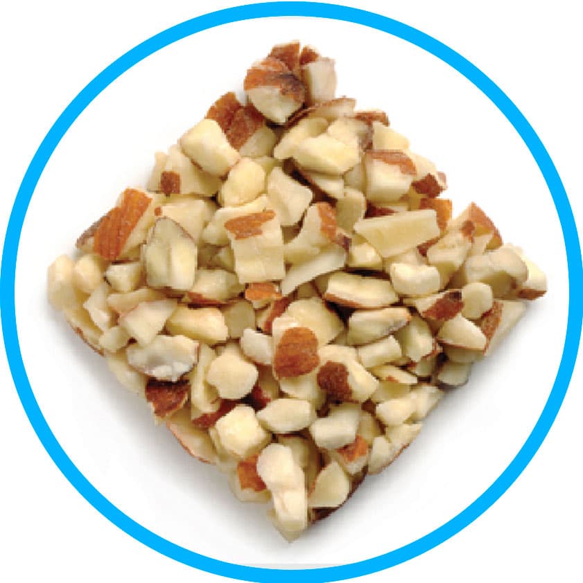 article-3-closeup-of-almond-texture