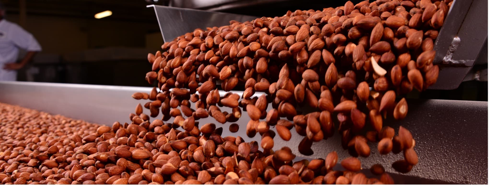Two chocolate-covered protein bars, one cut in half to show the inside, sit on a gray surface with protein powder and a measuring scoop in the background.