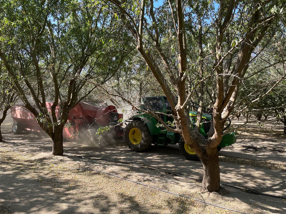 A green tractor pulls a red machine and stirs up dust while driving between rows of trees in a sunny orchard.