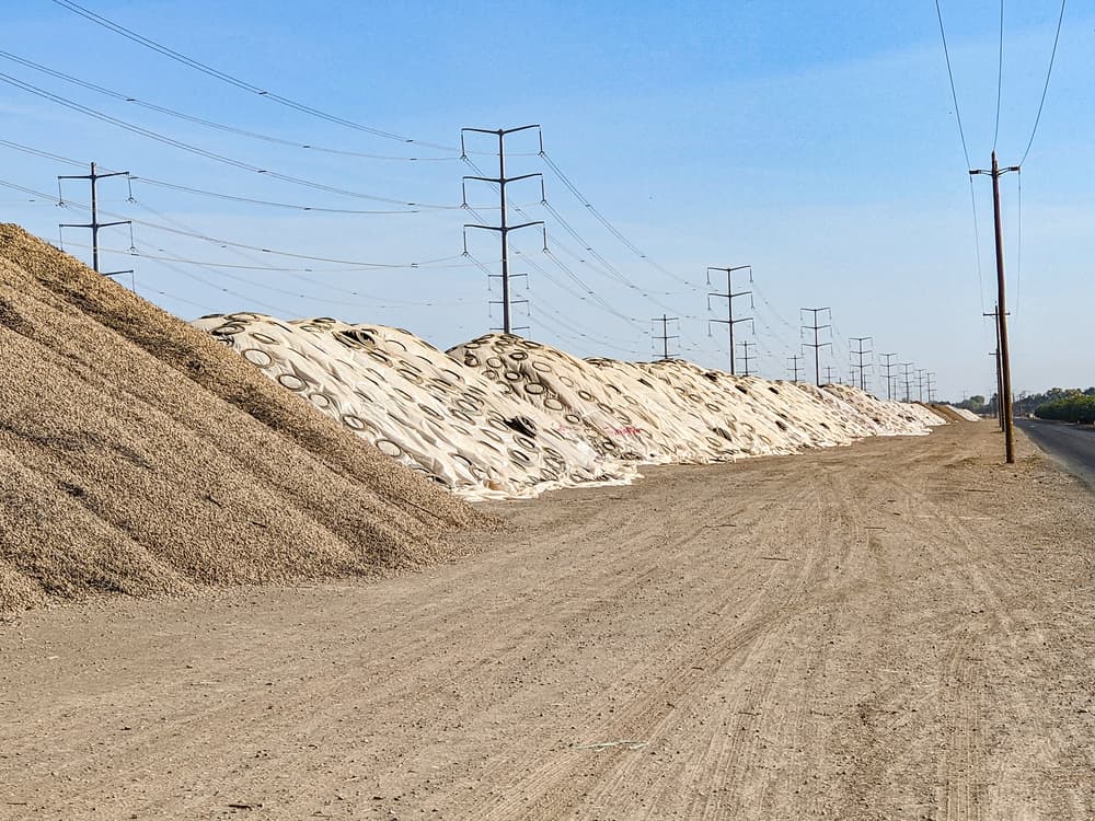 Large piles of silage covered with white plastic sheeting and held down by tires beside a dirt road, with power lines overhead.