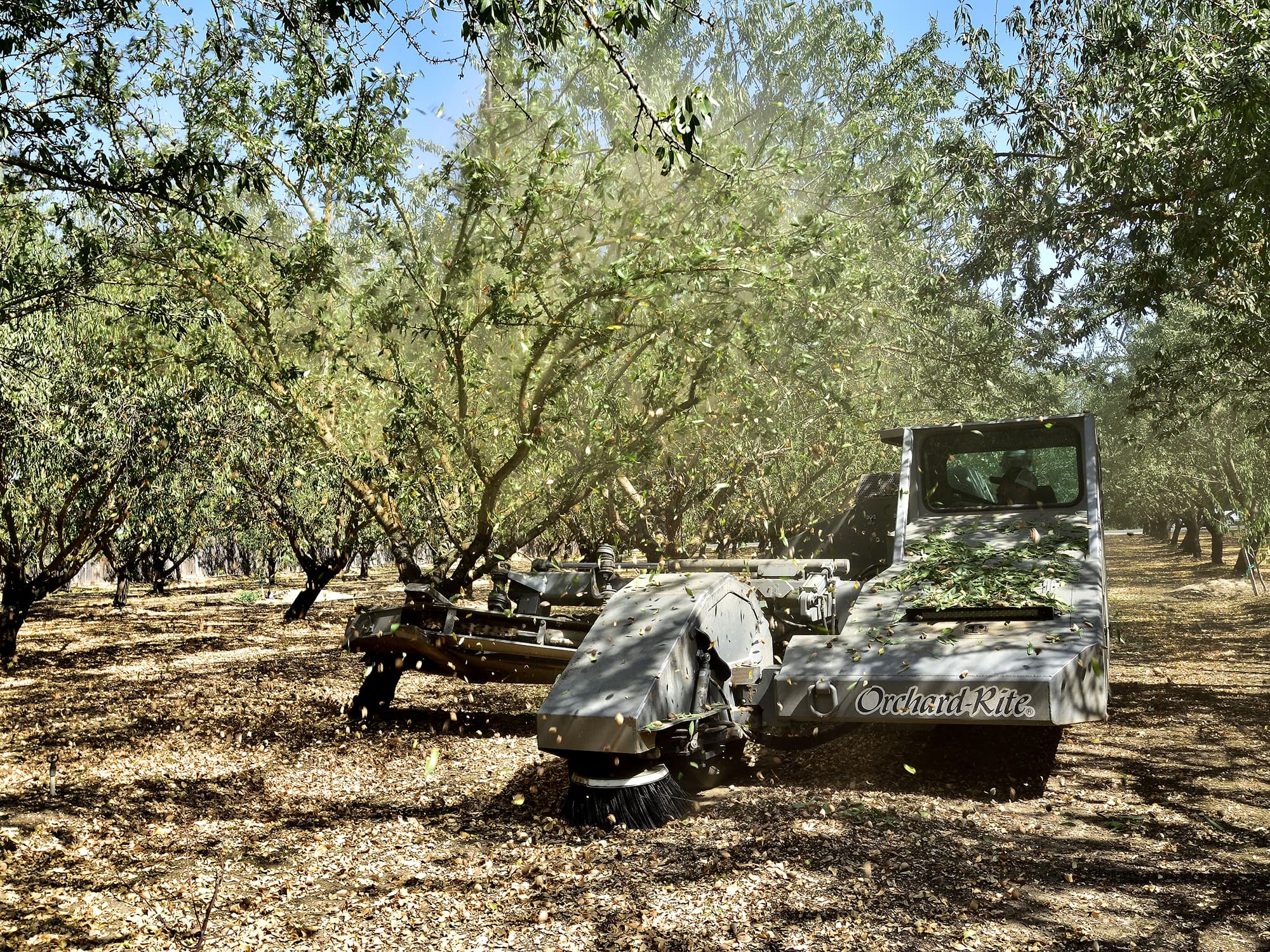 A machine labeled Orchard-Rite moves through an almond orchard, shaking trees to harvest almonds, with dust and debris visible in the air.