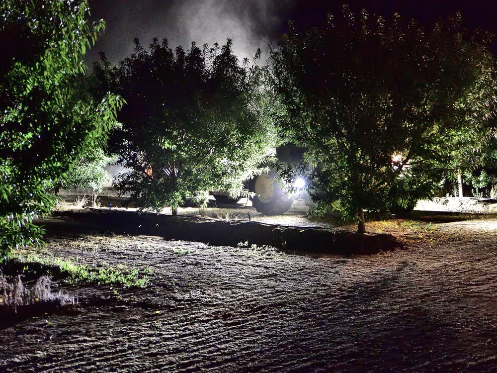 Nighttime scene in a grove with trees illuminated by vehicle headlights; mist or dust is visible in the air, and the ground appears recently cultivated.