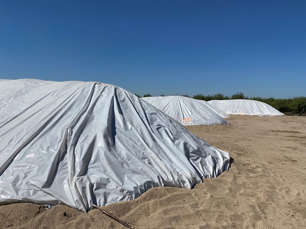 Large mounds covered with white plastic tarps sit on sandy ground under a clear blue sky, with trees in the distant background.
