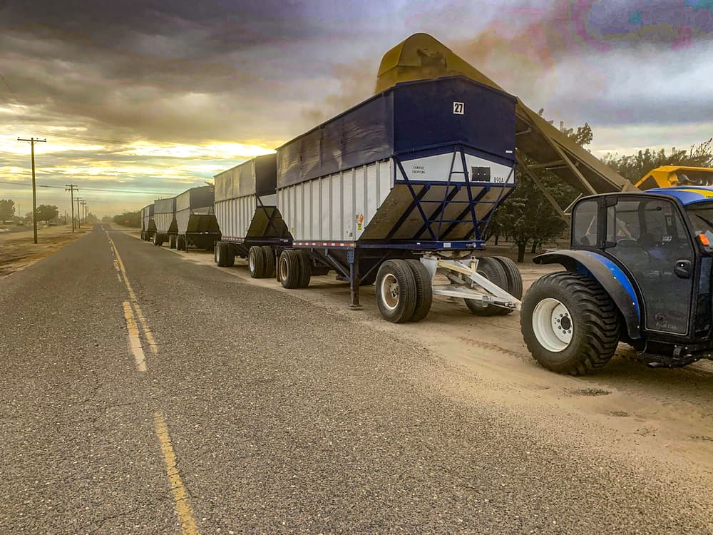 A row of large trailers is parked on the roadside, with a tractor unloading or loading material at sunrise under a cloudy sky.