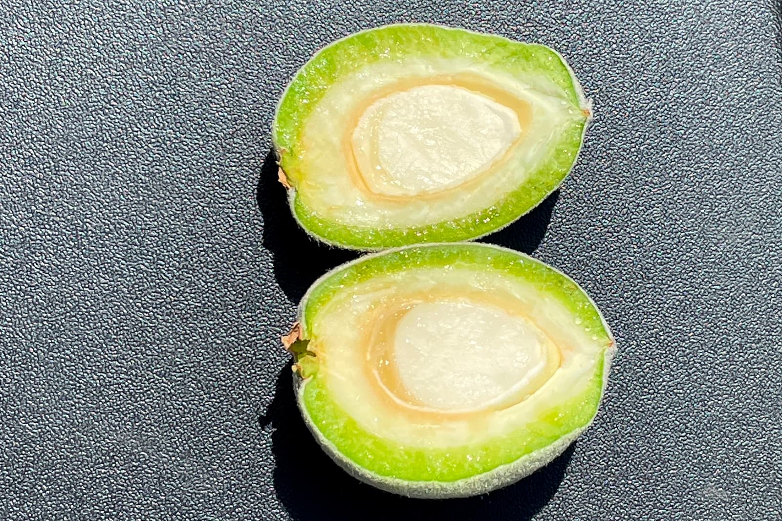 A green fruit cut in half reveals a large pit inside, displayed on a textured dark surface under bright light.