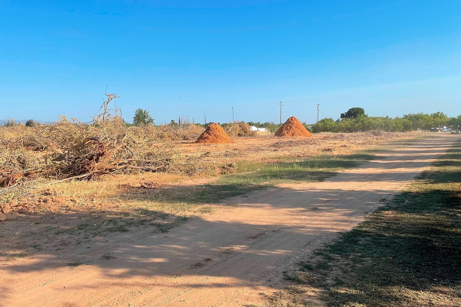Dirt road runs beside cleared land with brush piles and small mounds of reddish soil under a clear blue sky. Sparse trees and utility poles are visible in the background.