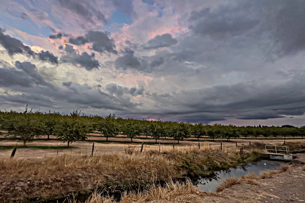 Orchard rows under a cloudy, colorful sky with dry grass in the foreground and a narrow canal running alongside a metal gate.