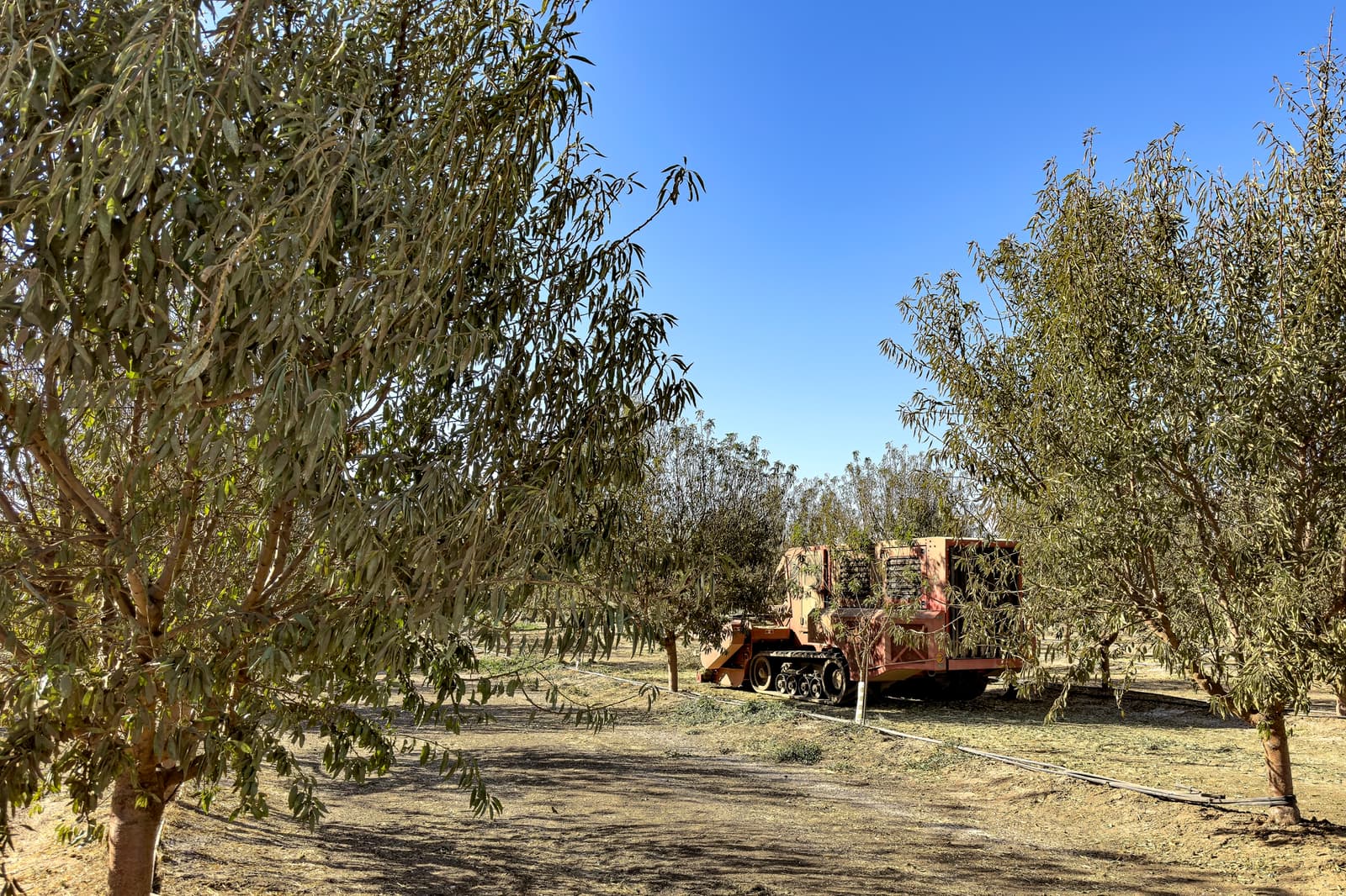 A camouflaged generator on wheels sits among rows of trees under a clear blue sky, with hoses laid out on the ground.