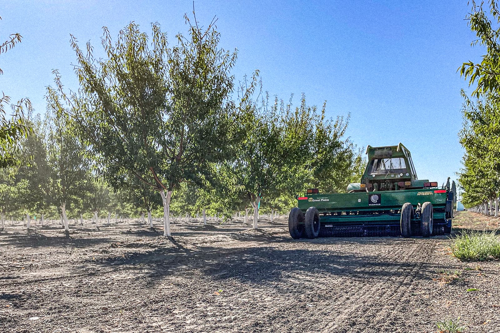 A green agricultural machine is parked on a dirt path between rows of trees in an orchard under a clear blue sky.