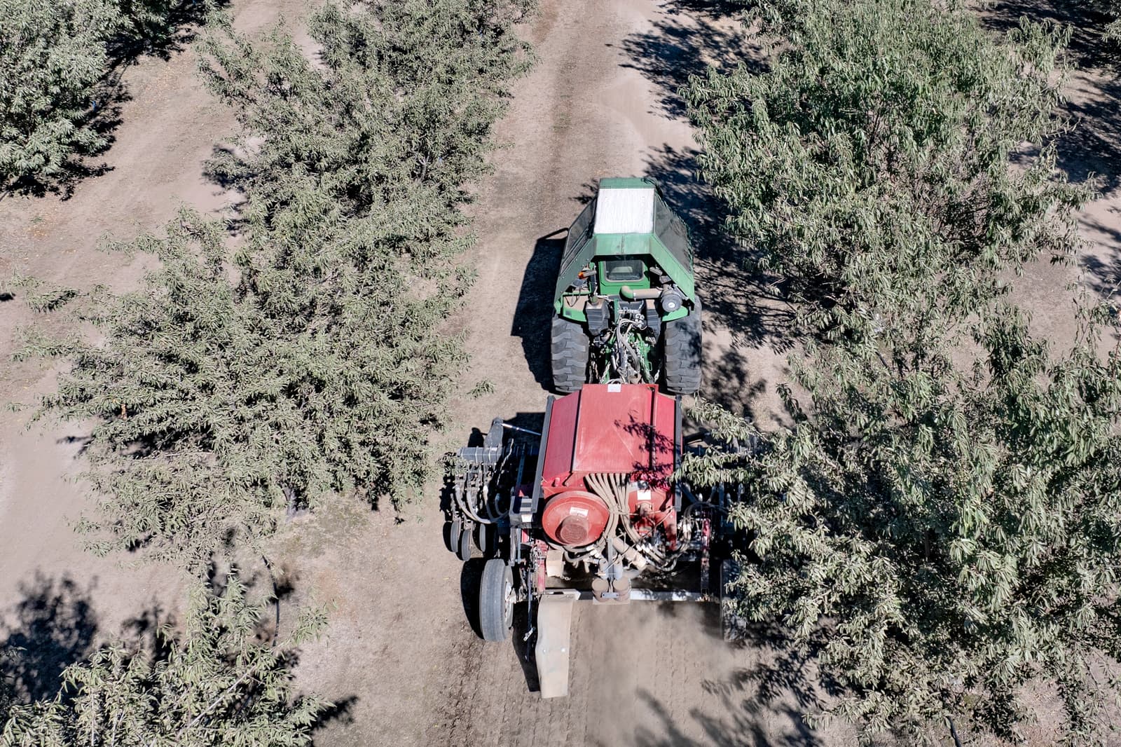 A green tractor with a red attachment drives down a dirt path between rows of trees, photographed from above.