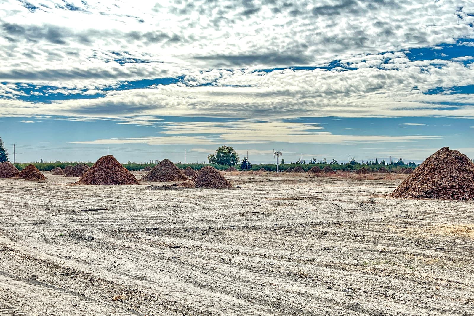 A flat dirt field with evenly spaced piles of mulch under a partly cloudy sky, with trees and utility poles in the background.