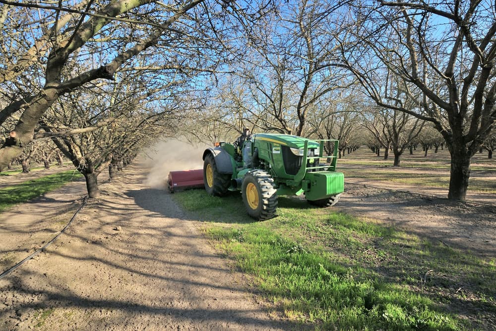 A green tractor pulls equipment along a dirt path between rows of leafless trees in an orchard, kicking up dust under a clear blue sky.