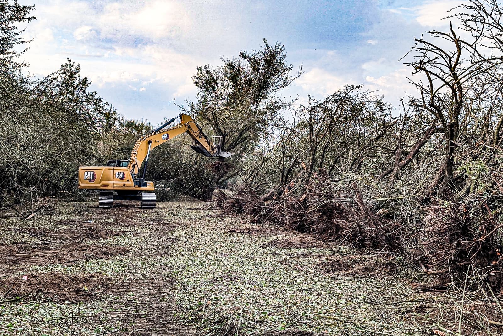 A yellow excavator moves large tree branches in a cleared area, with piles of cut trees and brush on both sides under a partly cloudy sky.