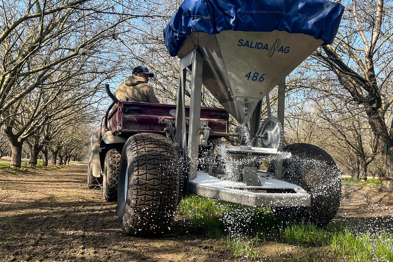 Person drives an ATV pulling a Salida Ag fertilizer spreader, dispersing white granules between rows of leafless trees on a sunny day.