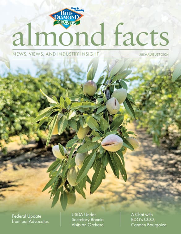 Almond tree branches with green almonds growing, featured on the July-August 2024 cover of almond facts magazine by Blue Diamond Growers.